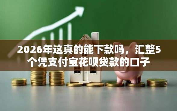 2026年这真的能下款吗，汇整5个凭支付宝花呗贷款的口子