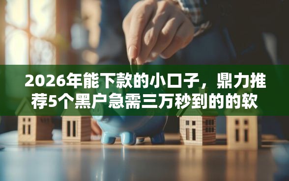 2026年能下款的小口子，鼎力推荐5个黑户急需三万秒到的的软件