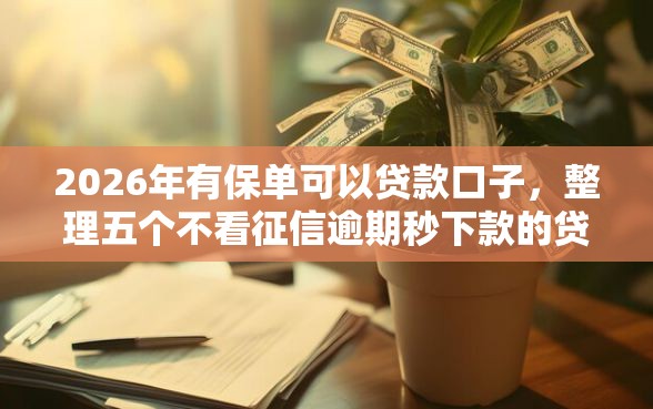 2026年有保单可以贷款口子，整理五个不看征信逾期秒下款的贷款