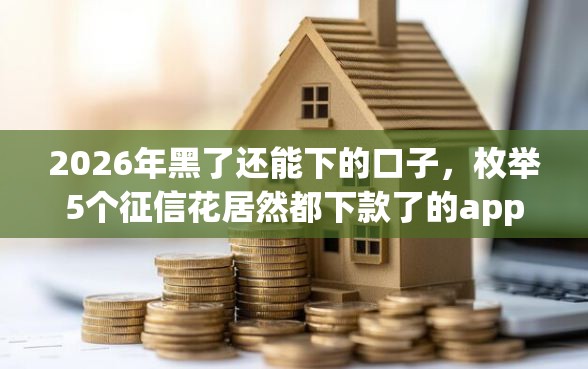 2026年黑了还能下的口子，枚举5个征信花居然都下款了的app