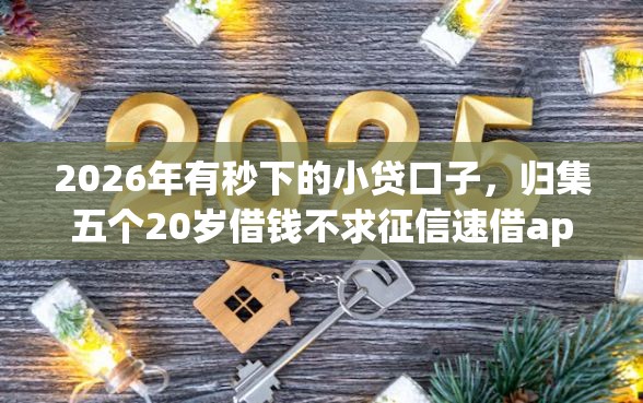 2026年有秒下的小贷口子，归集五个20岁借钱不求征信速借app