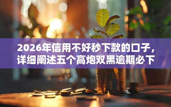 2026年信用不好秒下款的口子，详细阐述五个高炮双黑逾期必下款平台