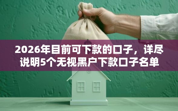 2026年目前可下款的口子，详尽说明5个无视黑户下款口子名单大全