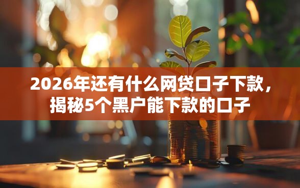 2026年还有什么网贷口子下款，揭秘5个黑户能下款的口子