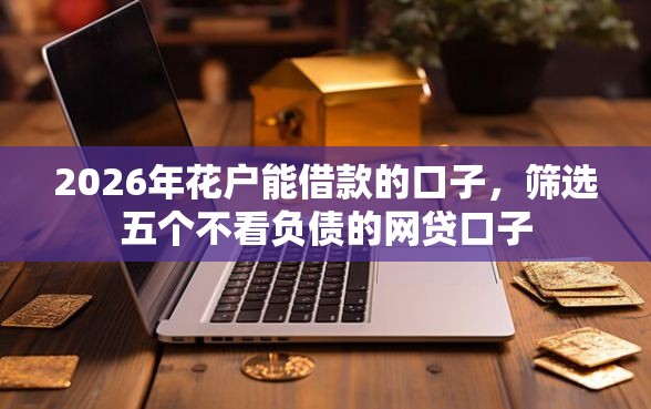 2026年花户能借款的口子，筛选五个不看负债的网贷口子