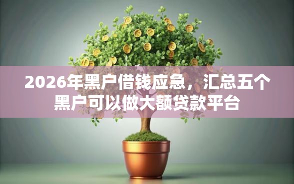 2026年黑户借钱应急，汇总五个黑户可以做大额贷款平台