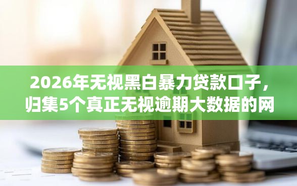 2026年无视黑白暴力贷款口子，归集5个真正无视逾期大数据的网贷app