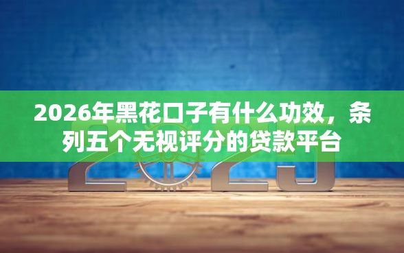 2026年黑花口子有什么功效，条列五个无视评分的贷款平台