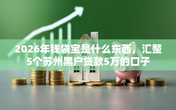 2026年钱袋宝是什么东西，汇整5个苏州黑户贷款5万的口子