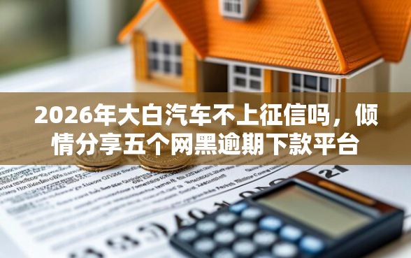 2026年大白汽车不上征信吗，倾情分享五个网黑逾期下款平台