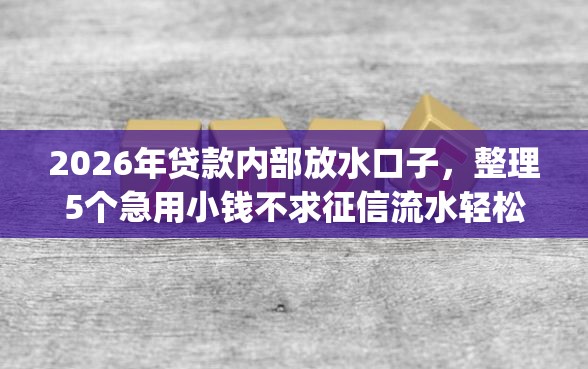 2026年贷款内部放水口子，整理5个急用小钱不求征信流水轻松贷的app