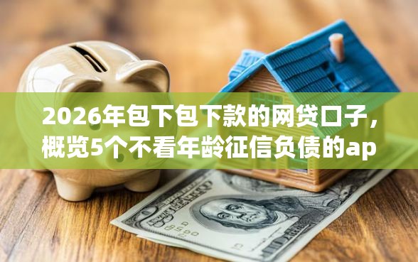 2026年包下包下款的网贷口子，概览5个不看年龄征信负债的app