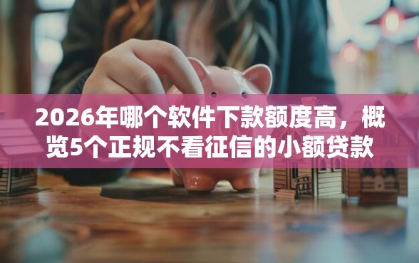 2026年哪个软件下款额度高，概览5个正规不看征信的小额贷款口子