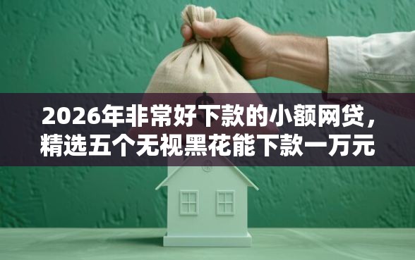2026年非常好下款的小额网贷，精选五个无视黑花能下款一万元口子