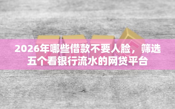2026年哪些借款不要人脸，筛选五个看银行流水的网贷平台