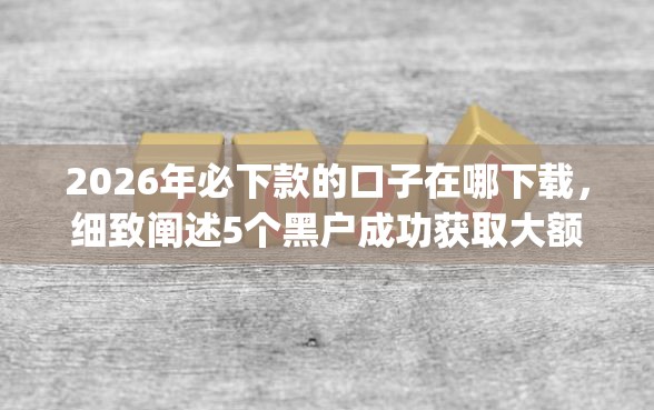 2026年必下款的口子在哪下载，细致阐述5个黑户成功获取大额贷款的app