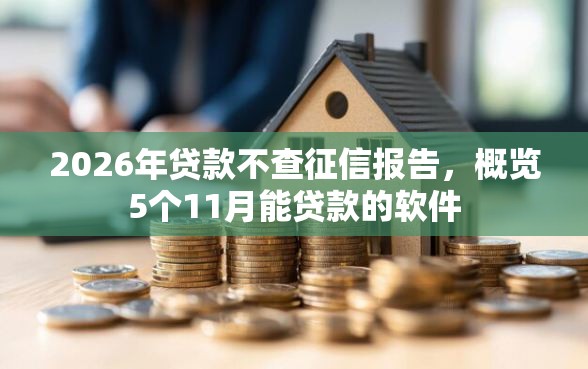 2026年贷款不查征信报告，概览5个11月能贷款的软件