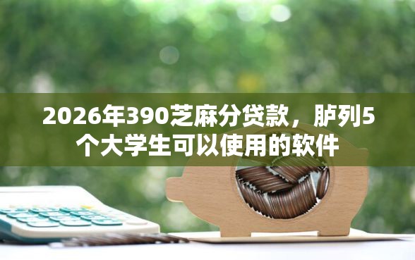 2026年390芝麻分贷款，胪列5个大学生可以使用的软件