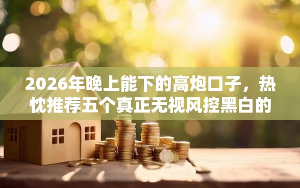 2026年晚上能下的高炮口子，热忱推荐五个真正无视风控黑白的网贷口子