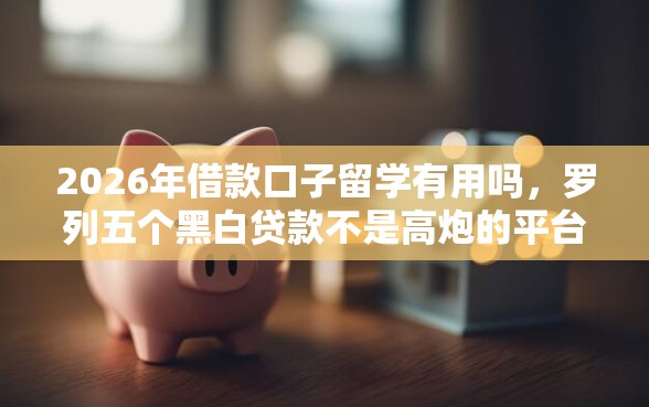 2026年借款口子留学有用吗，罗列五个黑白贷款不是高炮的平台
