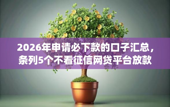2026年申请必下款的口子汇总，条列5个不看征信网贷平台放款快的app