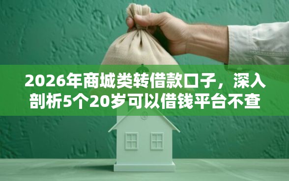 2026年商城类转借款口子，深入剖析5个20岁可以借钱平台不查征信的软件