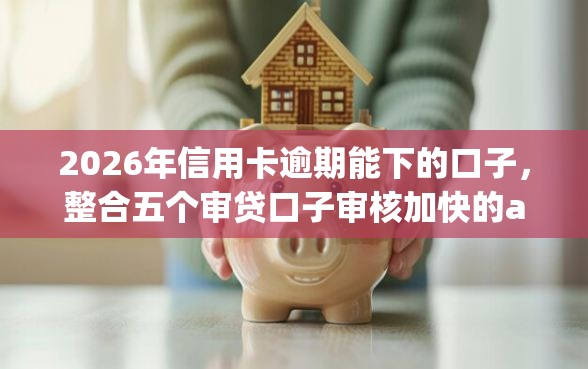 2026年信用卡逾期能下的口子，整合五个审贷口子审核加快的app