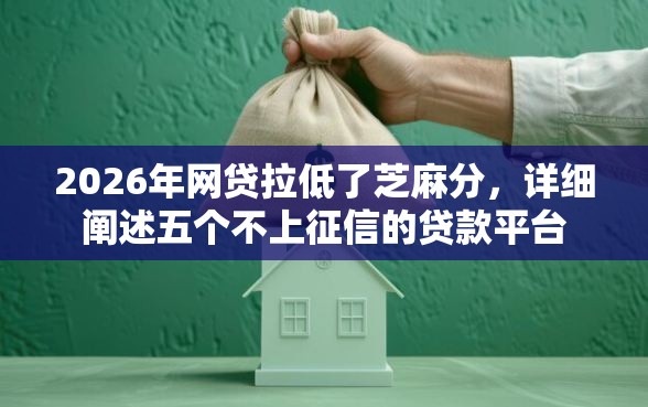 2026年网贷拉低了芝麻分，详细阐述五个不上征信的贷款平台