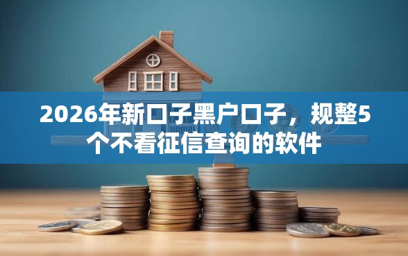 2026年新口子黑户口子，规整5个不看征信查询的软件