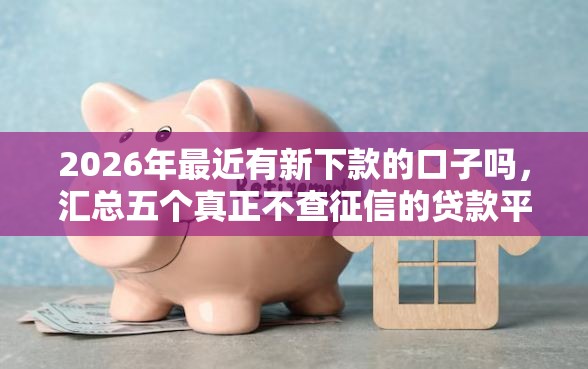 2026年最近有新下款的口子吗，汇总五个真正不查征信的贷款平台