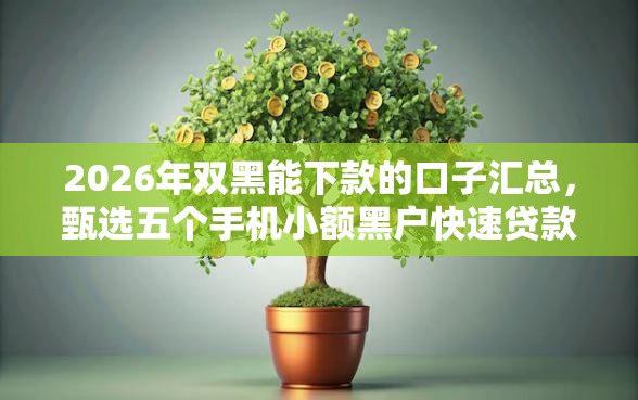 2026年双黑能下款的口子汇总，甄选五个手机小额黑户快速贷款口子