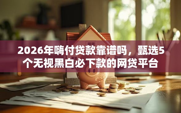 2026年嗨付贷款靠谱吗，甄选5个无视黑白必下款的网贷平台