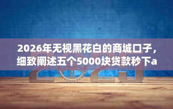 2026年无视黑花白的商城口子，细致阐述五个5000块贷款秒下app