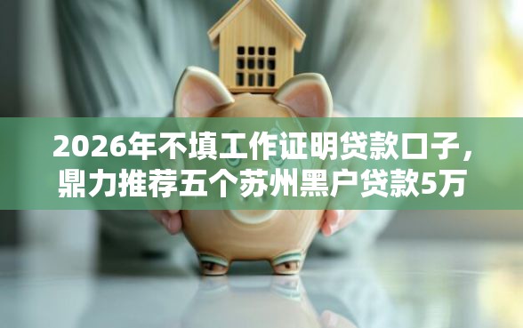 2026年不填工作证明贷款口子，鼎力推荐五个苏州黑户贷款5万的软件