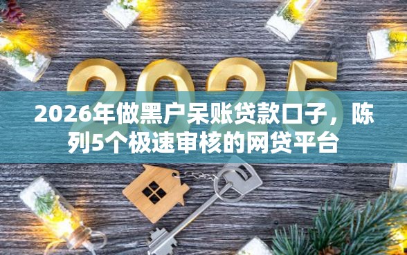 2026年做黑户呆账贷款口子，陈列5个极速审核的网贷平台