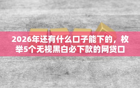 2026年还有什么口子能下的，枚举5个无视黑白必下款的网贷口子