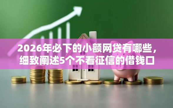 2026年必下的小额网贷有哪些，细致阐述5个不看征信的借钱口子