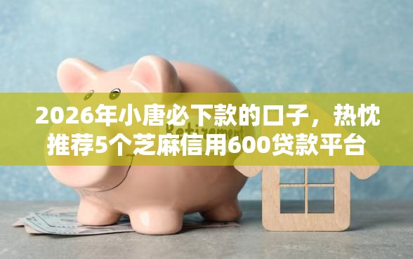 2026年小唐必下款的口子，热忱推荐5个芝麻信用600贷款平台