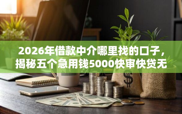 2026年借款中介哪里找的口子，揭秘五个急用钱5000快审快贷无需征信口子