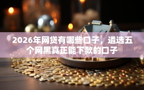 2026年网贷有哪些口子，遴选五个网黑真正能下款的口子