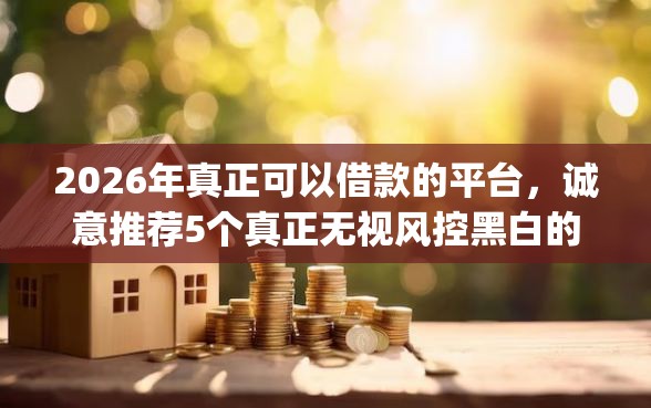 2026年真正可以借款的平台,诚意推荐5个真正无视风控黑白的网贷app 2026年真正可以借款的平台,诚意推荐5个真正无视风控黑白的网贷app