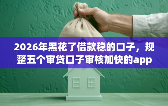 2026年黑花了借款稳的口子，规整五个审贷口子审核加快的app