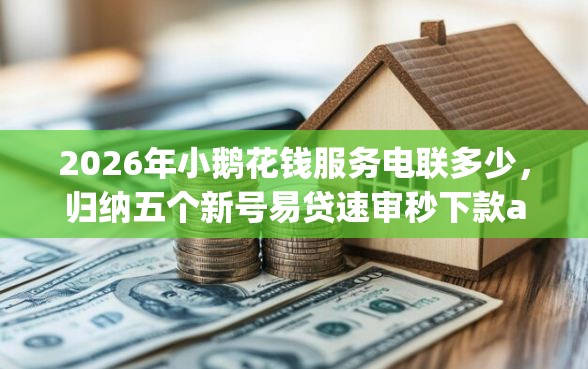 2026年小鹅花钱服务电联多少，归纳五个新号易贷速审秒下款app