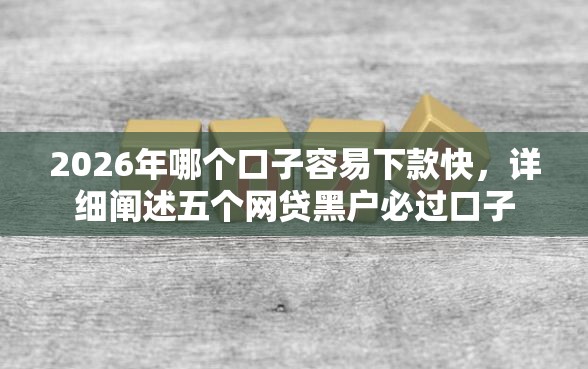 2026年哪个口子容易下款快，详细阐述五个网贷黑户必过口子