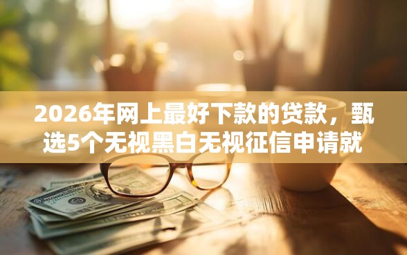 2026年网上最好下款的贷款，甄选5个无视黑白无视征信申请就下款的口子