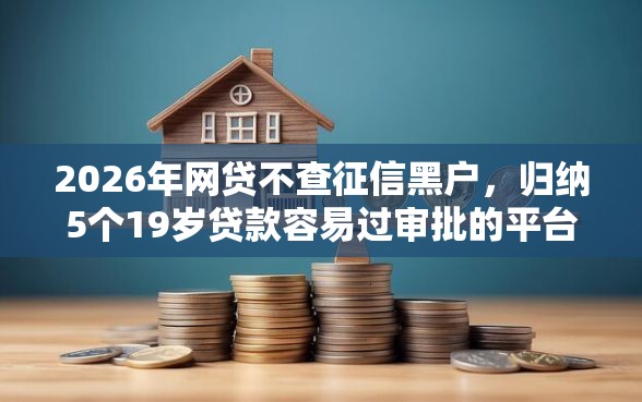 2026年网贷不查征信黑户，归纳5个19岁贷款容易过审批的平台