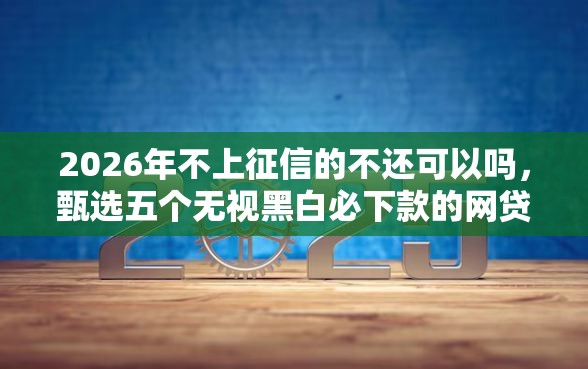 2026年不上征信的不还可以吗，甄选五个无视黑白必下款的网贷软件