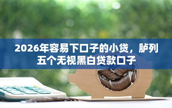 2026年容易下口子的小贷,胪列五个无视黑白贷款口子 2026年容易下口子的小贷,胪列五个无视黑白贷款口子