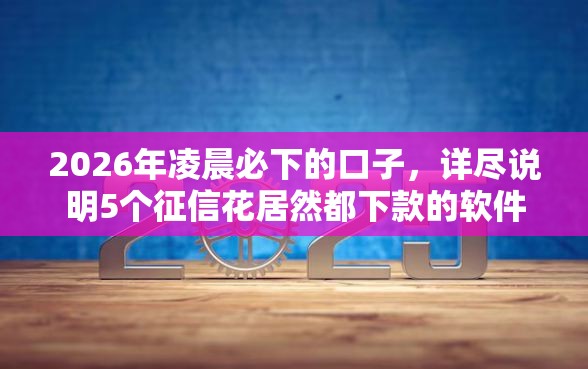 2026年凌晨必下的口子，详尽说明5个征信花居然都下款的软件