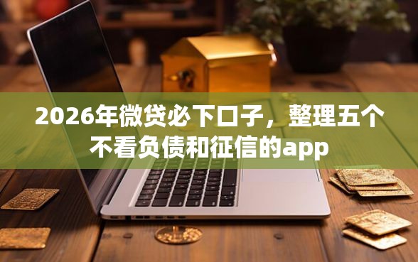 2026年微贷必下口子，整理五个不看负债和征信的app
